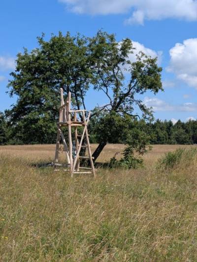 Foto obří židle