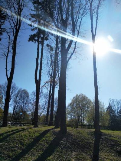 Polevské arboretum