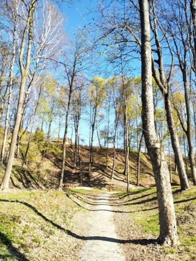 Polevské arboretum