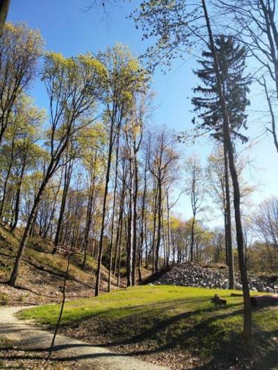 Polevsko - arboretum