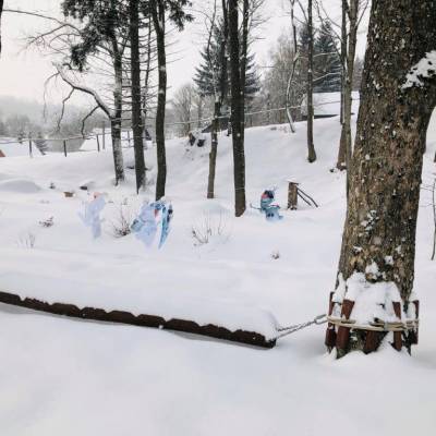 Sněhohrátky 2021 v arboretu