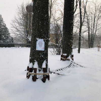 Sněhohrátky 2021 v arboretu