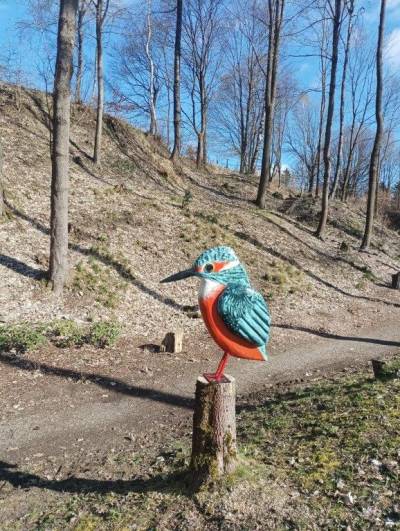 Nová výzdoba našeho Arboreta